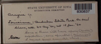 Image Associated With the Occurence